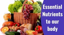 List Of Essential Nutrients Which Are Required For Healthy Body - 9Scroob