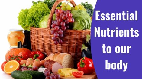 List Of Essential Nutrients Which Are Required For Healthy Body - 9Scroob